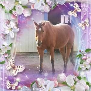 Meet your Posher, Darlene